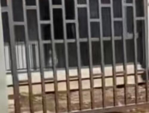 鐵藝護欄